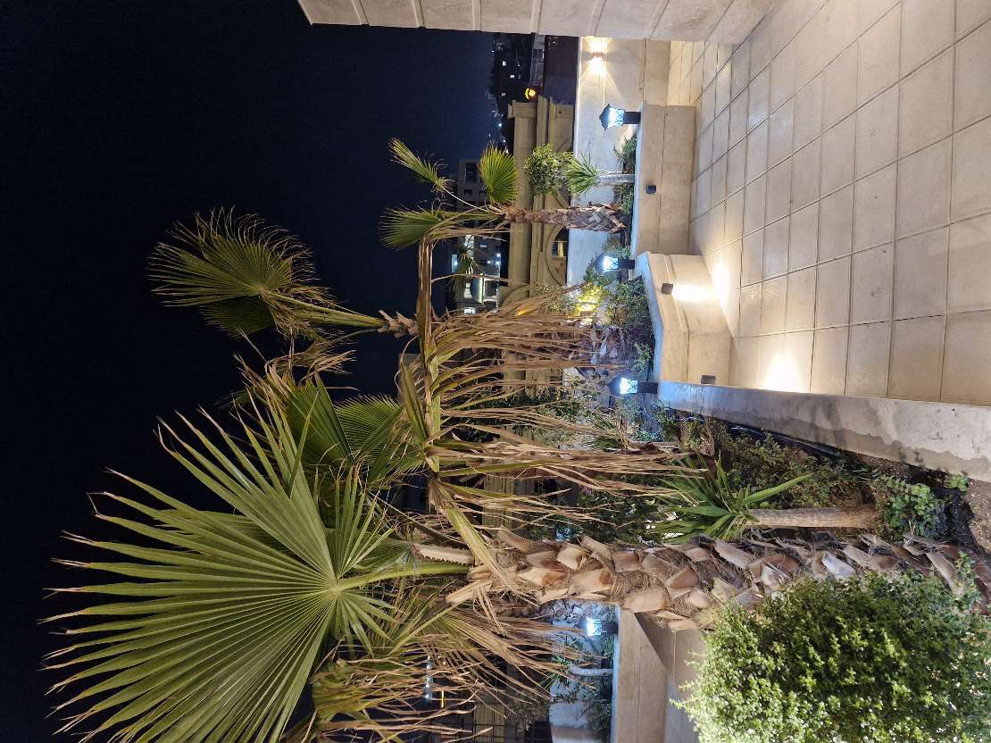 روف گاردن
